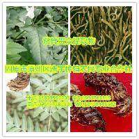 陜西大田生物 專注高品質秋水仙堿提取物，廠家直銷，全國包郵