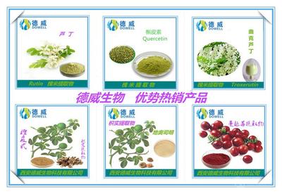 番瀉葉提取物 功效、市場價格與西安產業概況